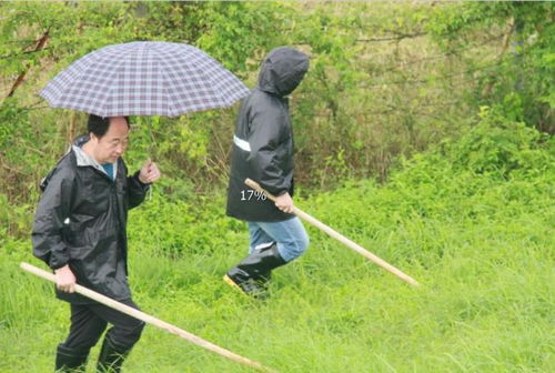 老骥伏枥志战洪 - 风雨同舟显担当