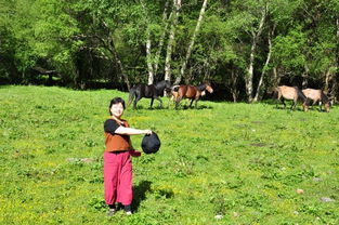老骥伏枥 2018我们的 六一