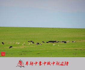 老骥伏枥，志在千里 单骑穿越中蒙、中俄、中朝边陲游记与攻略