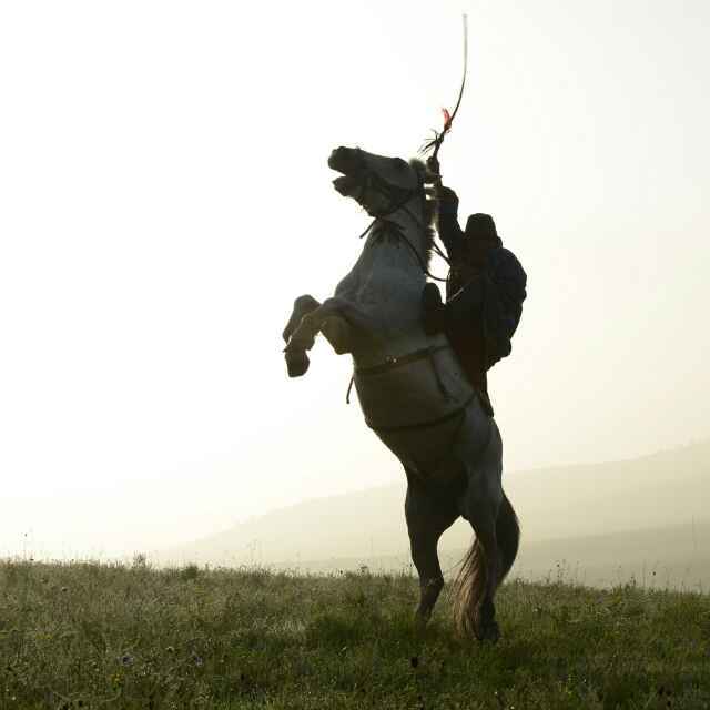 学海无涯，伏枥前行