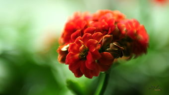 老骥伏枥志在千里——尼康D300s夜景试拍感悟