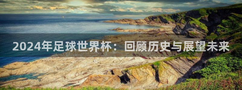 2026 世界杯:2024年足球世界杯:回顾历史与展望未来