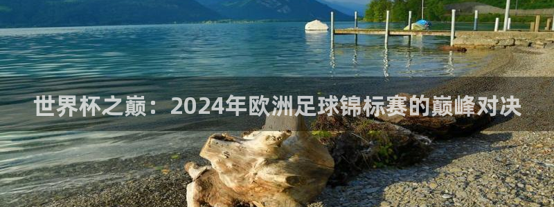 看世界杯:世界杯之巅:2024年欧洲足球锦标赛的巅峰对决