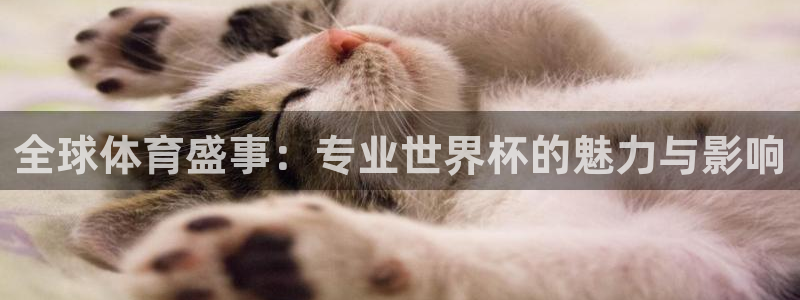 世界杯赛程表2026:全球体育盛事:专业世界杯的魅力与影响