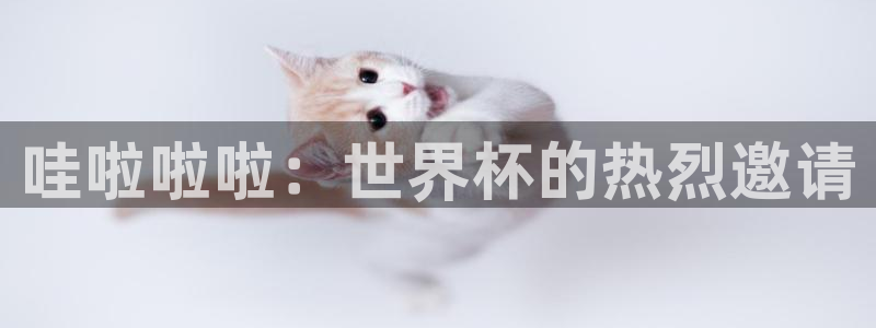 世界杯2026比赛时间表:哇啦啦啦:世界杯的热烈邀请