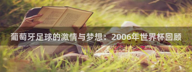 2026男足世界杯赛程:葡萄牙足球的激情与梦想:2006年世界杯回顾