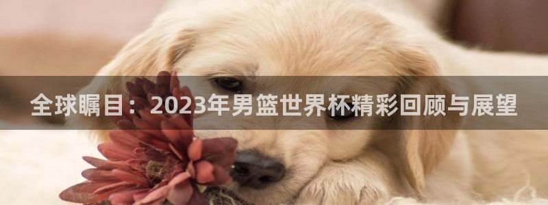 世界杯 直播:全球瞩目:2023年男篮世界杯精彩回顾与展望