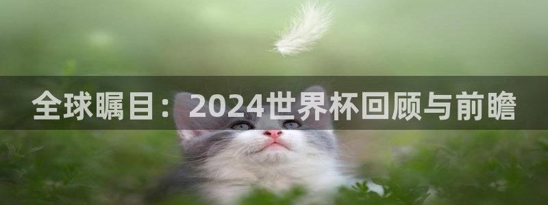 世界杯 2026:全球瞩目:2024世界杯回顾与前瞻